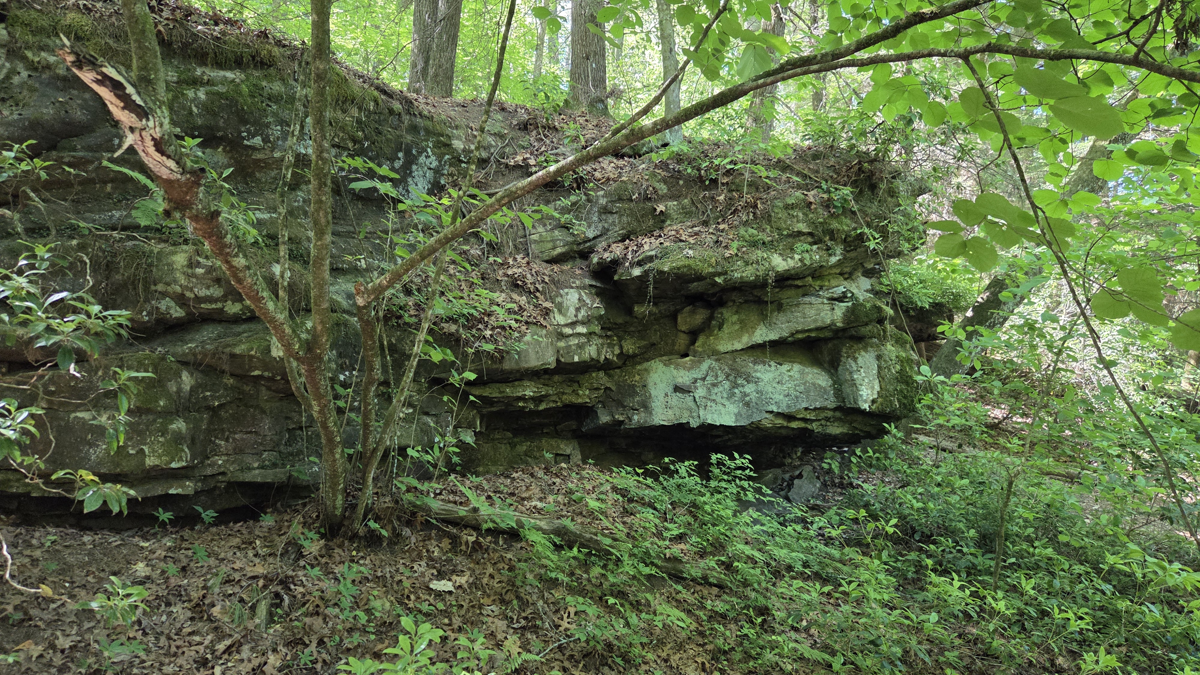 05-14-26-Cumberland_State_Park-3