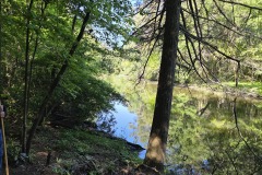 05-14-26-Cumberland_State_Park-4