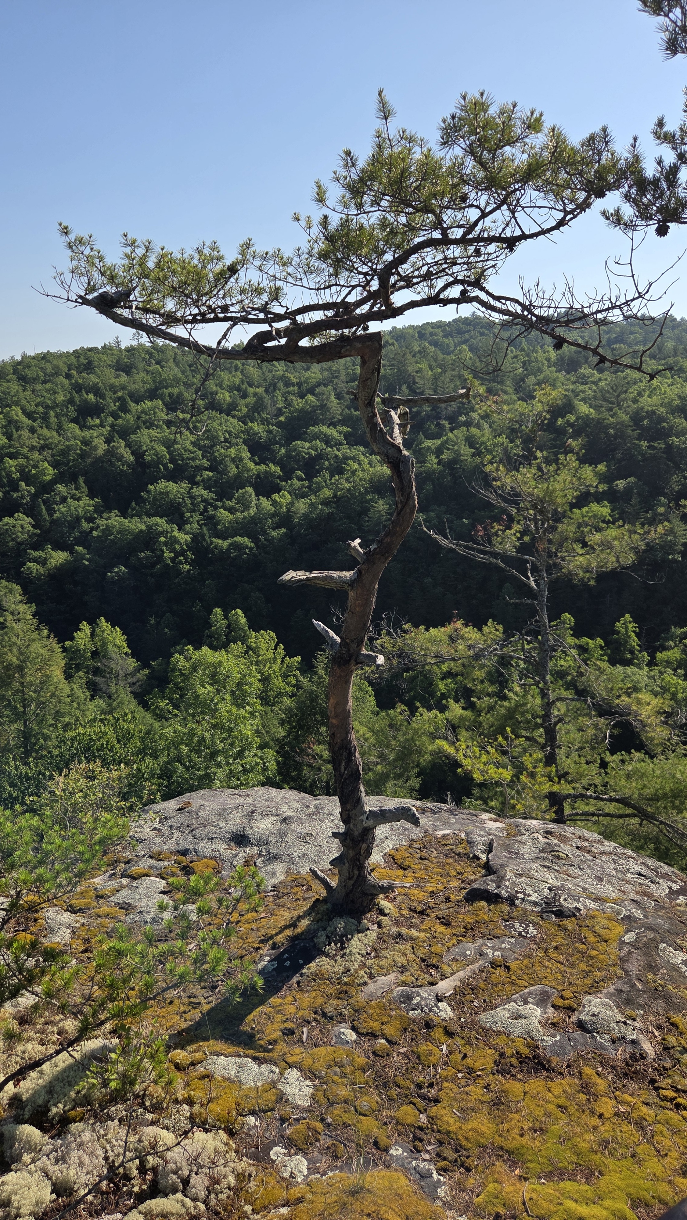 06-11-26_Hike_and_Lunch_OBED-1