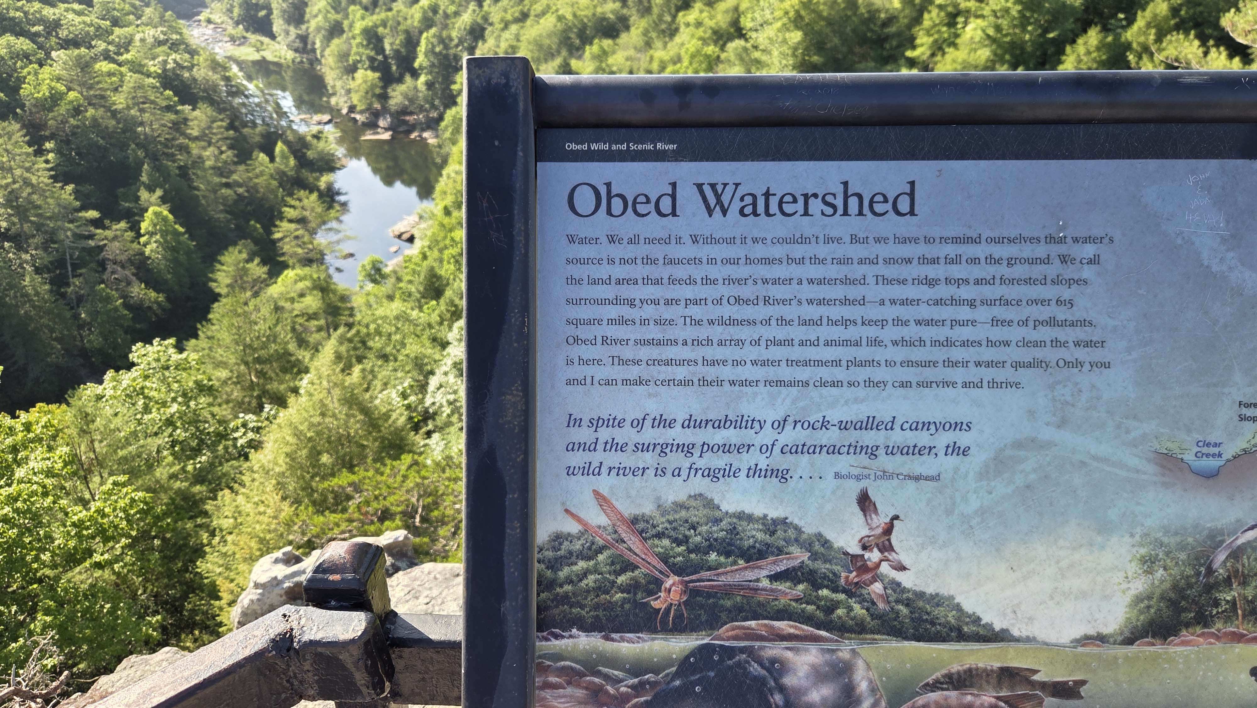 06-11-26_Hike_and_Lunch_OBED-4