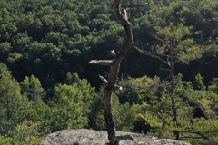 06-11-26_Hike_and_Lunch_OBED-1