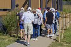 Eagle-Sanctuary-10-3-25-11