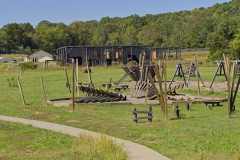 Eagle-Sanctuary-10-3-25-2