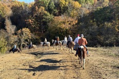 Horseback-riding-at-Adventure-Park-at-Five-Oaks_11-4-25-10