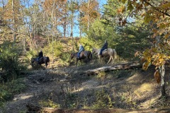 Horseback-riding-at-Adventure-Park-at-Five-Oaks_11-4-25-12