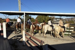 Horseback-riding-at-Adventure-Park-at-Five-Oaks_11-4-25-7