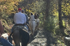 Horseback-riding-at-Adventure-Park-at-Five-Oaks_11-4-25-9